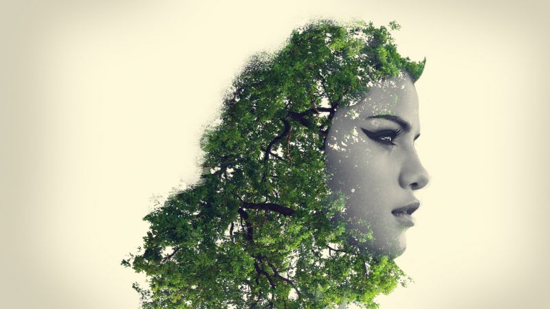 tvář, stromy, ilustrace, digitální umění, Photoshop, odraz tvář, stromy, ilustrace, digitální umění, Photoshop, odraz