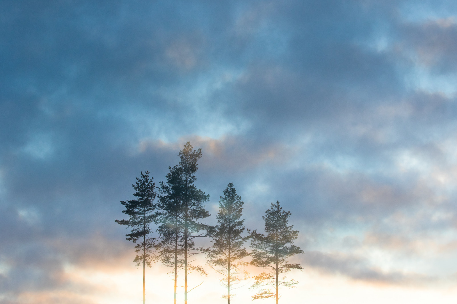 slunečnímu záření, stromy, krajina, západ slunce, Příroda, nebe, zima, mraky, větev, svítání, uklidnit, modrý, večer, ráno, kouzlo, horizont, doubleexposure, atmosféra, zasněný, světlo, mrak, strom, svítání, sen, borovice, 70200 mm, F56, magický, naturallight, 7dmarkii, během dne, multipleexposure, ef70200mmf28lisiiusm, počítač tapeta, Atmosféra Země, dřevina, meteorologický jev, kupa, canonef70200mmf28lisiiusm, jev, canoneos7dmarkii, 70200mmf28