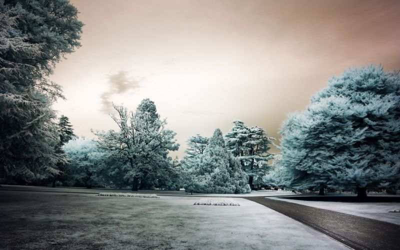lumière du soleil, des arbres, paysage, la nature, herbe, parc lumière du soleil, des arbres, paysage, la nature, herbe, parc