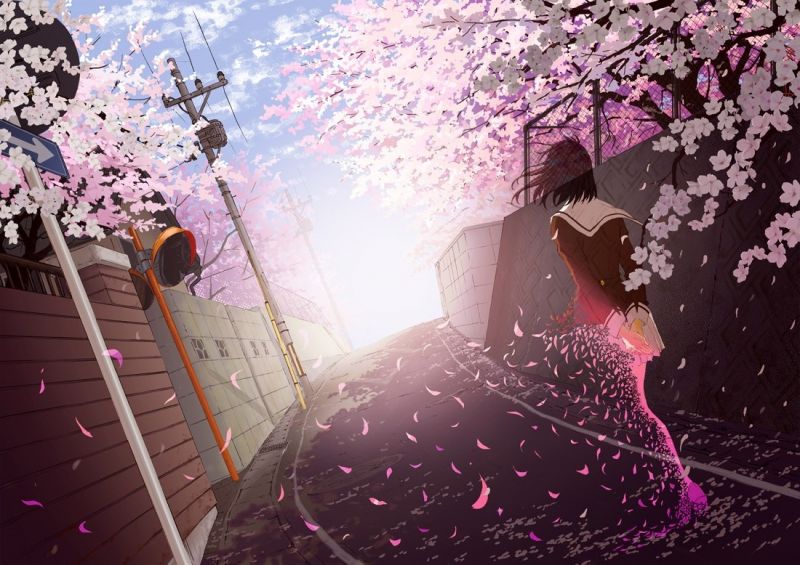 Chicas anime, púrpura, uniforme escolar, flor de cerezo, rosado, primavera Chicas anime, púrpura, uniforme escolar, flor de cerezo, rosado, primavera