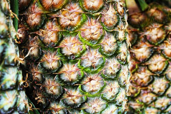 pineapple,fruit,surface