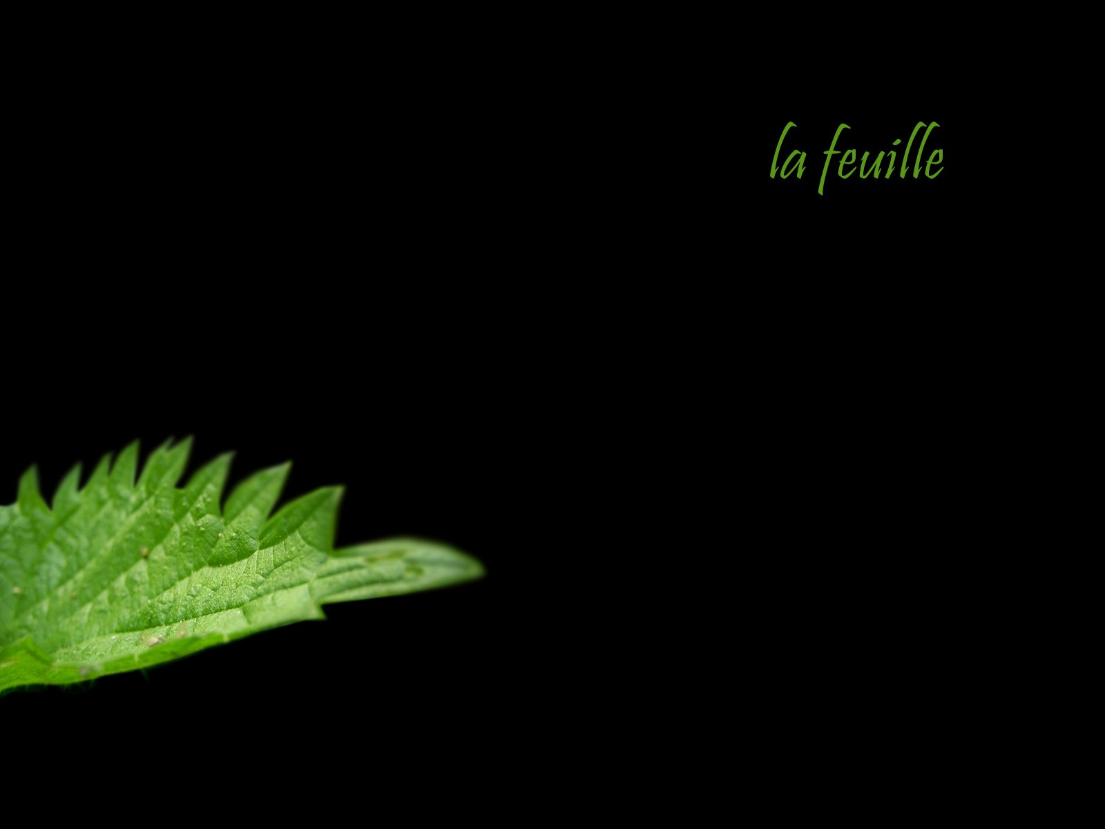 1600x1200 px, 抽象, テキスト