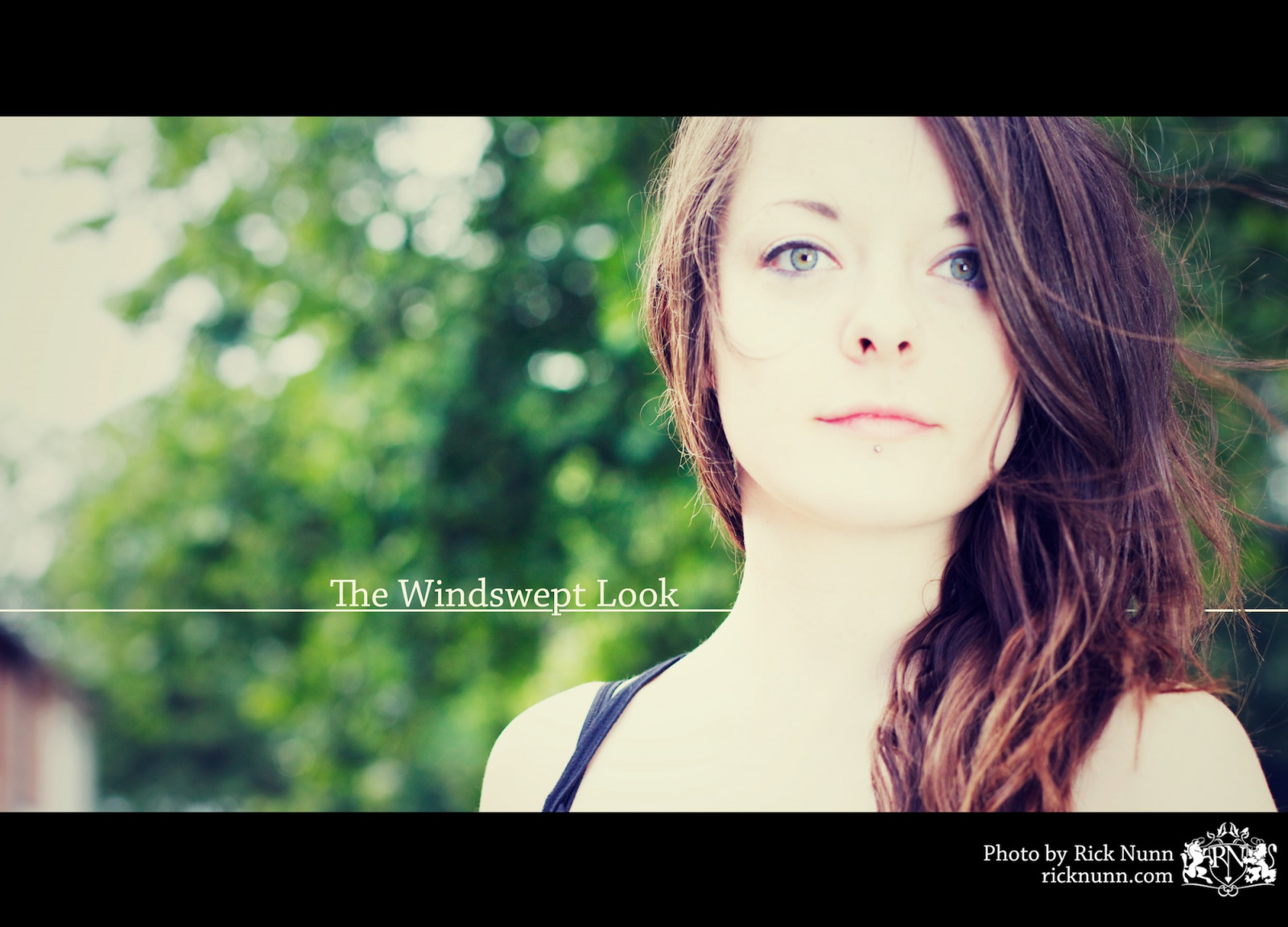 tree, hair, typography, eyes, bokeh, overexposed, kym, explored, strobist, p502, p502010
