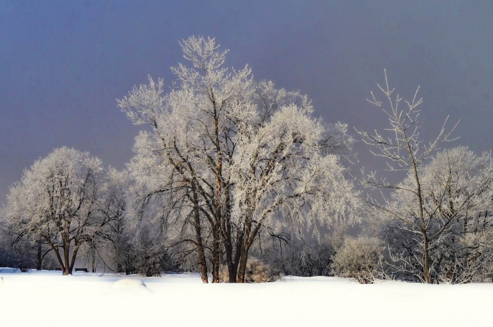 แนวนอน, ท้องฟ้า, หิมะ, ฤดูหนาว, สาขา, สีน้ำเงิน, น้ำแข็ง, น้ำค้างแข็ง, แม่น้ำ, แวว, การแช่แข็ง, Ontario, ออตตาวา, ต้นไม้, สภาพอากาศ, ปลูก, ฤดู, น้ำแข็ง, หนาวจัด, Parkway, เกินกว่า, ปรากฏการณ์บรรยากาศ, ไม้ยืนต้น, Xanada