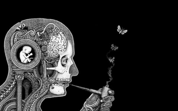 illustration, monochrome, fantasy art, dark, artwork, butterfly