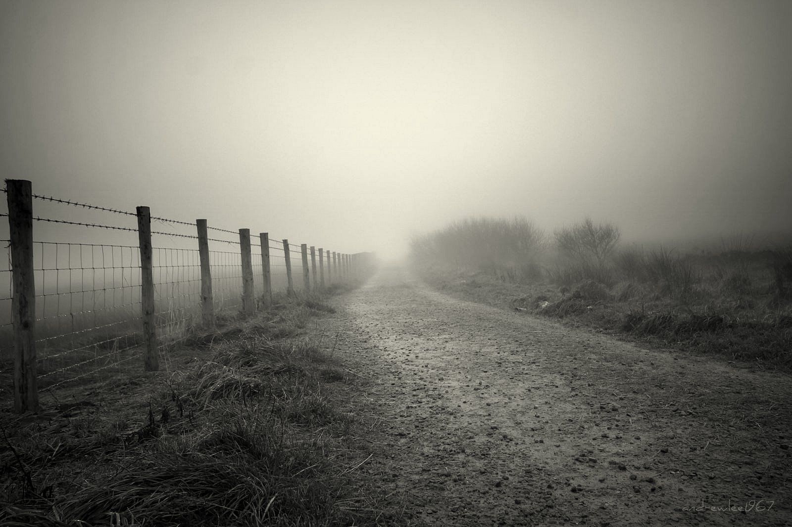 แสงแดด, ต้นไม้, แนวนอน, ขาวดำ, ท้องฟ้า, ถนน, การถ่ายภาพ, อังกฤษ, ตอนเย็น, เช้า, หมอก, ขอบฟ้า, บรรยากาศ, รั้ว, เส้นทาง, สหราชอาณาจักร, การแช่แข็ง, Yorkshire, หมอกควัน, ดำและขาว, เมฆ, ต้นไม้, หมอก, รุ่งอรุณ, bw, บรรทัด, ติดตาม, ที่ราบ, mywinners, gb, สหราชอาณาจักร, canon50d, andrewlee1967, andrewlee, ดำและขาว, ถ่ายภาพขาวดำ, sigma1020mm, ฝนตกปรอยๆ, ปรากฏการณ์, อีโครีเจียน, Scammonden, stock photography