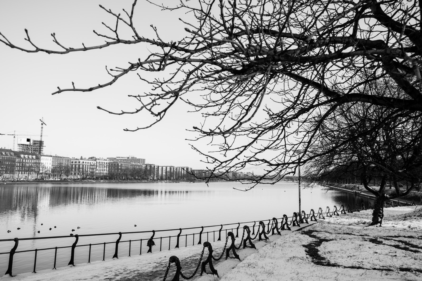krajina, černobílý, jezero, voda, odraz, nebe, sníh, zima, fotografování, větev, mráz, řeka, jaro, Dánsko, banka, zmrazení, Kodaň, strom, rostlina, tělesné, Černá bílá, fuji, xPRO, Černý a bílý, monochromatické fotografování, dřevina