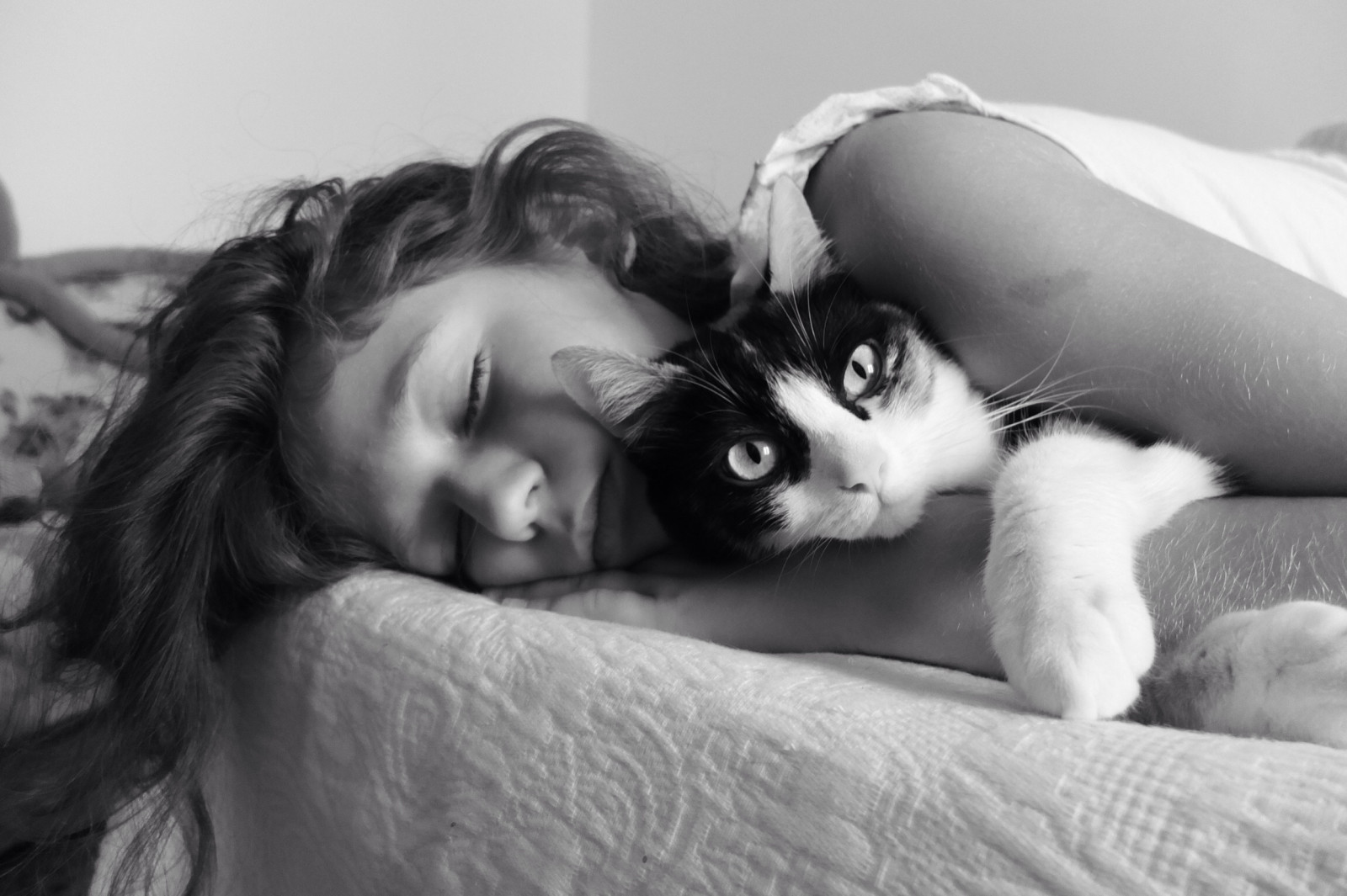 sort og hvid, bw, kat, sort hvid, fuji, Fujifilm, fujifilmx10, fujix10, littledoglaughednoiretblancet