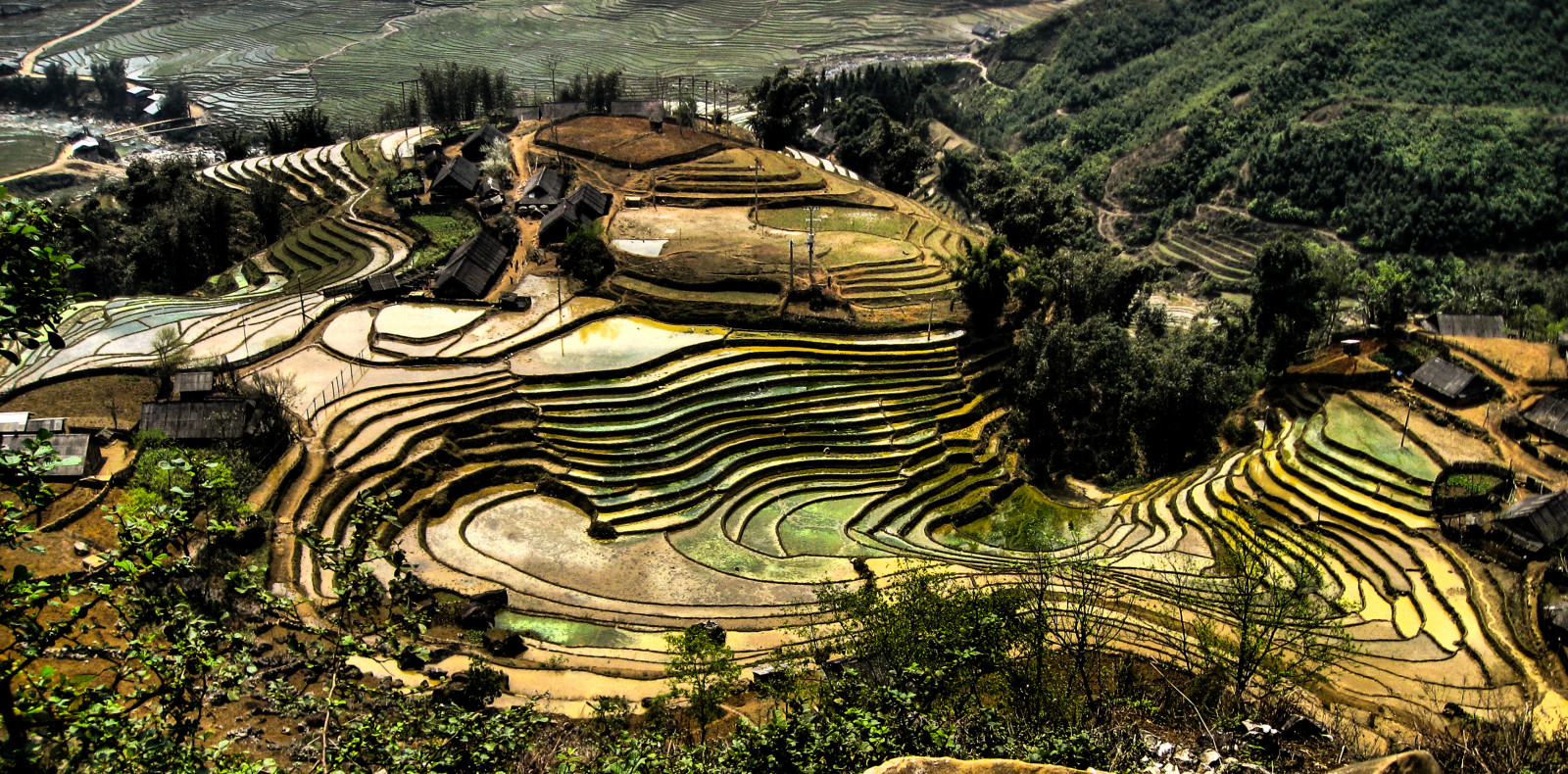 archäologische Fundstätte, Landschaft, Baum, Gras, Rock, Terrasse, Dorf, plant community