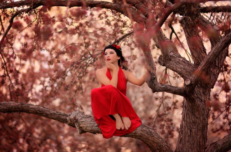 trees, women outdoors, women, model, photography, red trees, women outdoors, women, model, photography, red