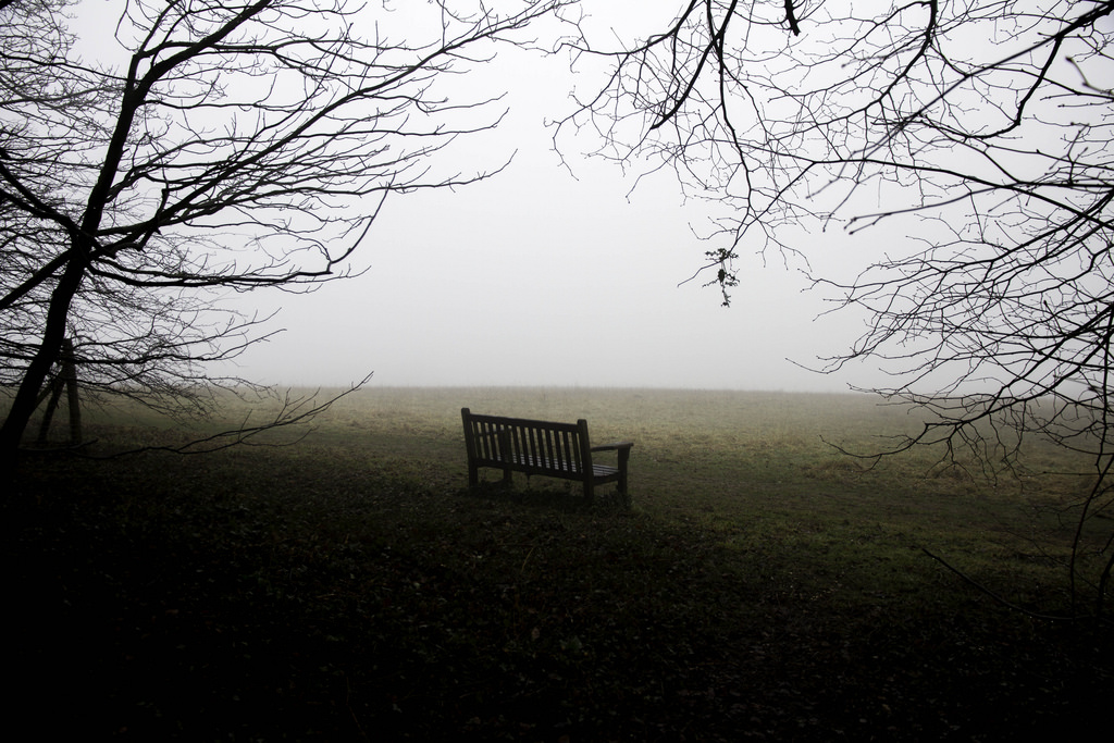 slunečnímu záření, krajina, les, kopec, voda, tráva, nebe, zima, větev, uklidnit, večer, ráno, mlha, lavice, horizont, atmosféra, opar, důvěra, mrak, strom, mlha, svítání, rostlina, Paměť, dolů, abigfave, dřevina, jev, na památku, Magog