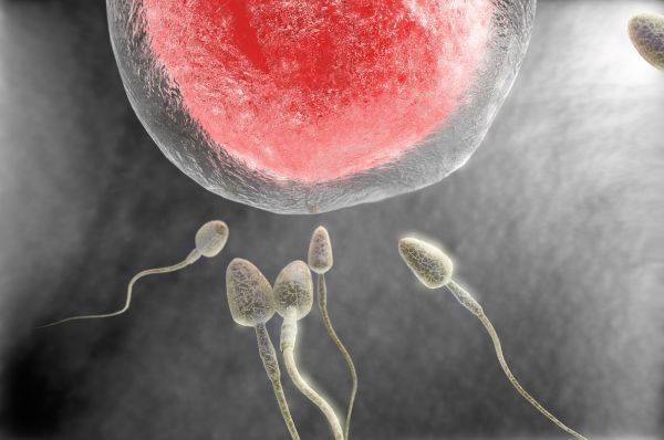 1sperm,2000x1328 px,abstraktní,abstrakce,bokeh,buňka