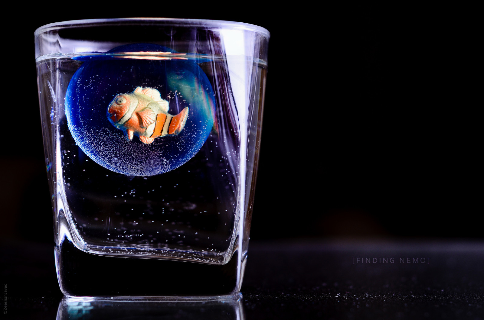 Fond D Ecran Camera Bleu Lumiere Orange Poisson Reflexion Mignonne Art Verre Couleurs Beaute Fermer Contraste Ballon Fonce Film Amusement La Photographie Lumieres Conception Enfant Piege Chercher Cool Nikon Aqua Artiste Nemo