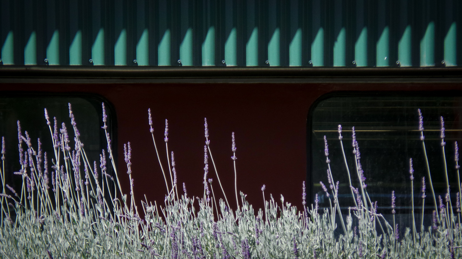 architektura, světlo, stěna, odraz, noc, tráva, Dům, fasáda, nebe, počítač tapeta