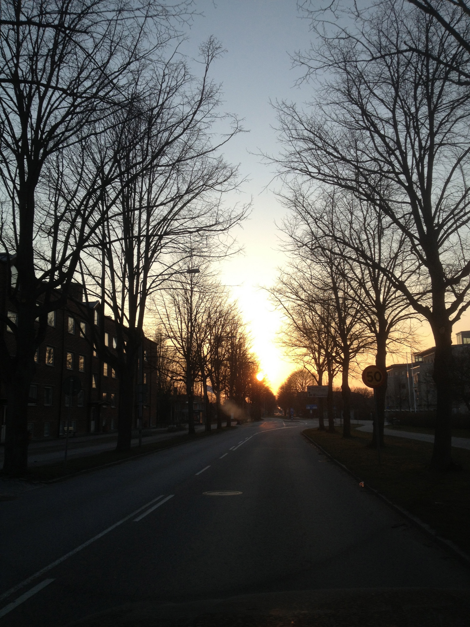 slunečnímu záření, krajina, pouliční osvětlení, západ slunce, ulice, noc, zima, silnice, svítání, večer, ráno, soumrak, infrastruktura, světlo, strom, mlha, svítání, osvětlení, tma, soderslatt, pruh, atmosférický jev, dřevina, svítidlo