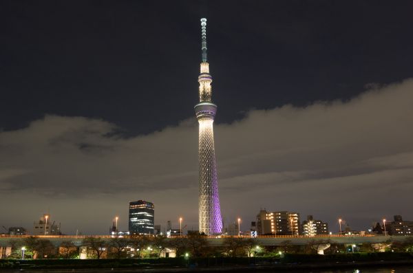 Japan, city, cityscape, night, architecture, skyline