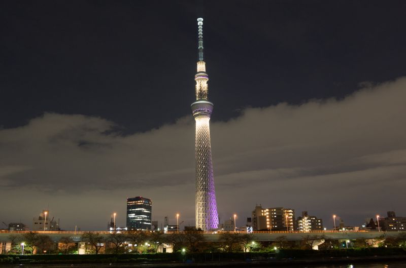 Japan,stad,stadsgezicht,nacht,architectuur,horizon