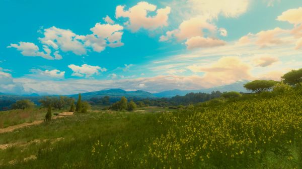 The Witcher 3 Wild Hunt,screen shot,PC gaming,tussent