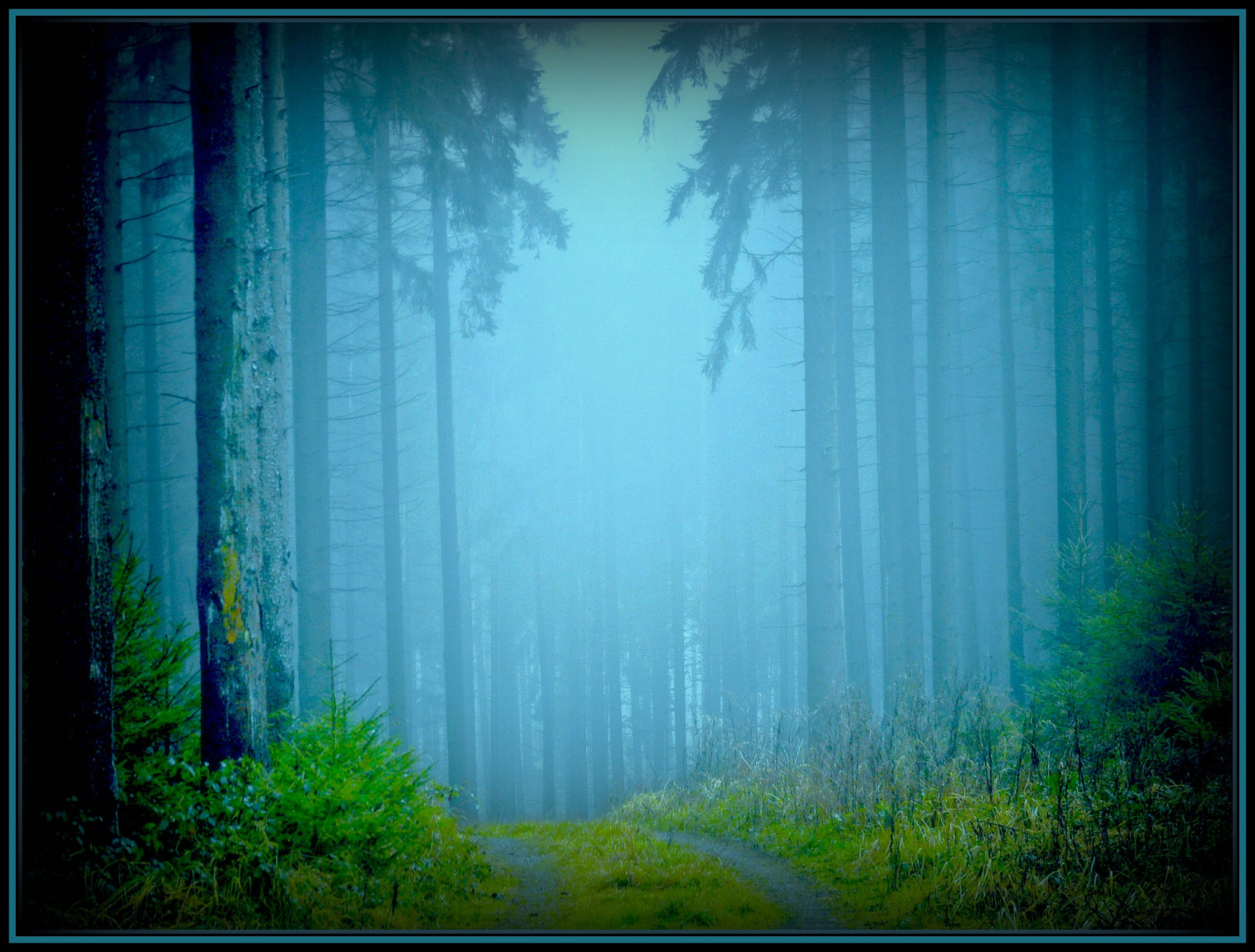 dřevo, modrý, mlha, strom, UMĚNÍ, kostel, Příroda, mlha, les, Německo, cesta, Šedá, katedrála, tvořivý, kolínská, Oberberg, Soe, themoulinrouge, naturesfinest, blueribbonwinner, singintheblues, naturescall, platinumphoto, anawesomeshot, megashot, naturewatcher, platinumsuperstar, magicdonkeysbest