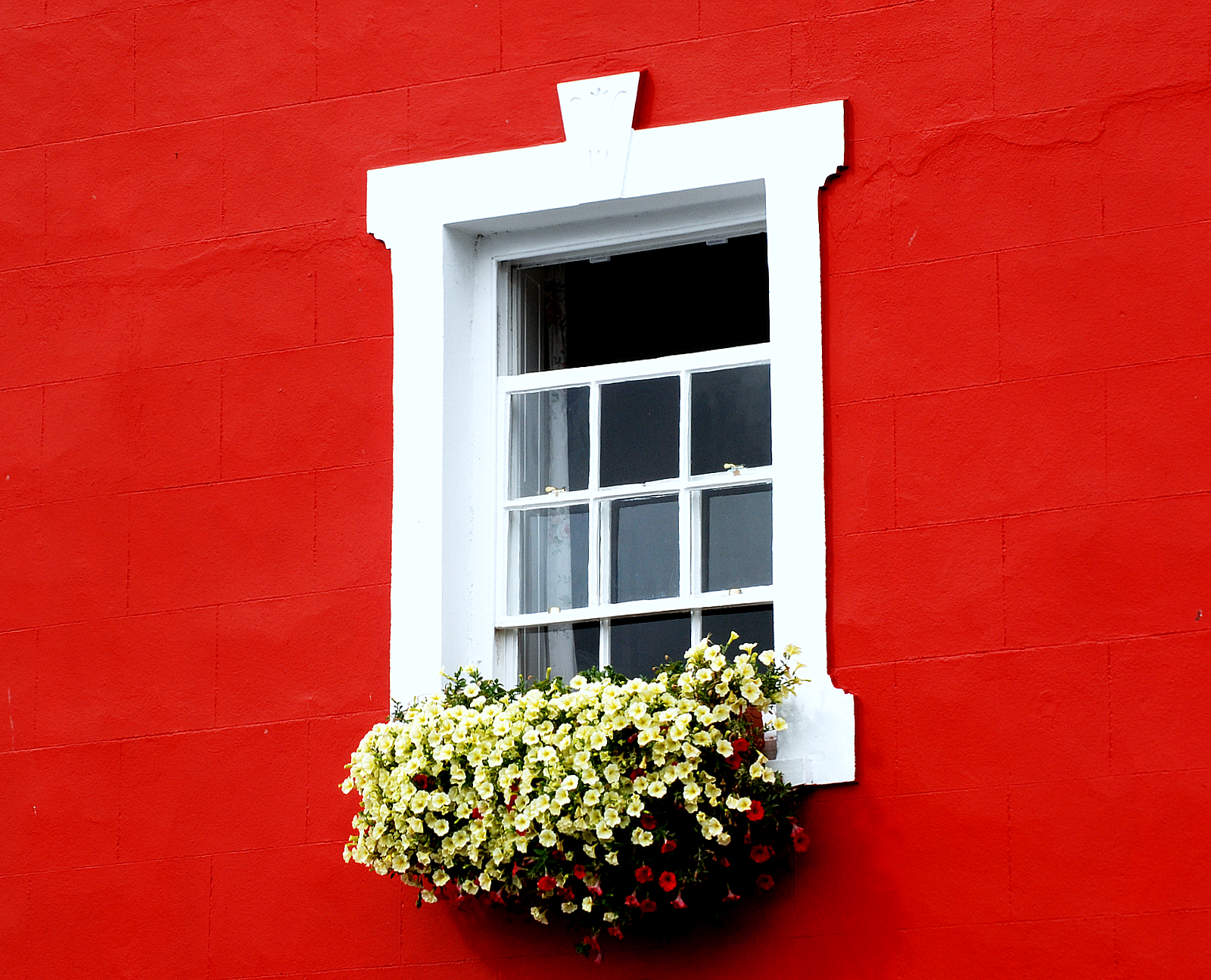 Wallpaper : red, window, wall, facade, house, picture frame, flower ...