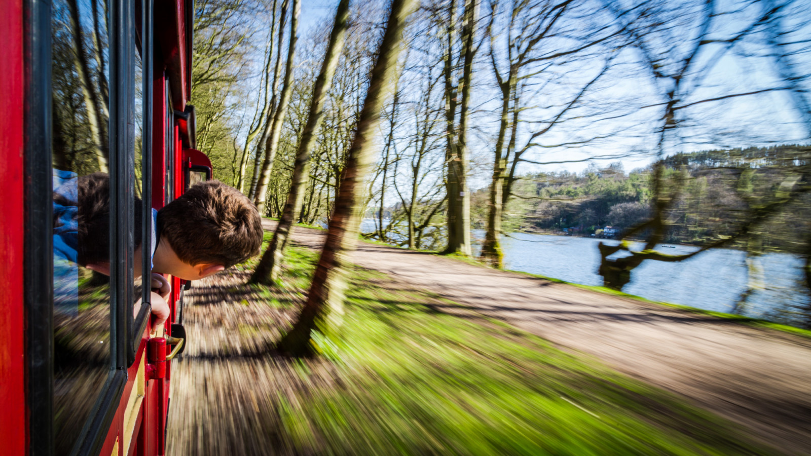 slunečnímu záření, Příroda, odraz, Anglie, ráno, Kánon, 2015, Spojené království, strom, podzim, sezóna, 6d, project365, britian, vodní, dřevina, stafordšírský, eos6d