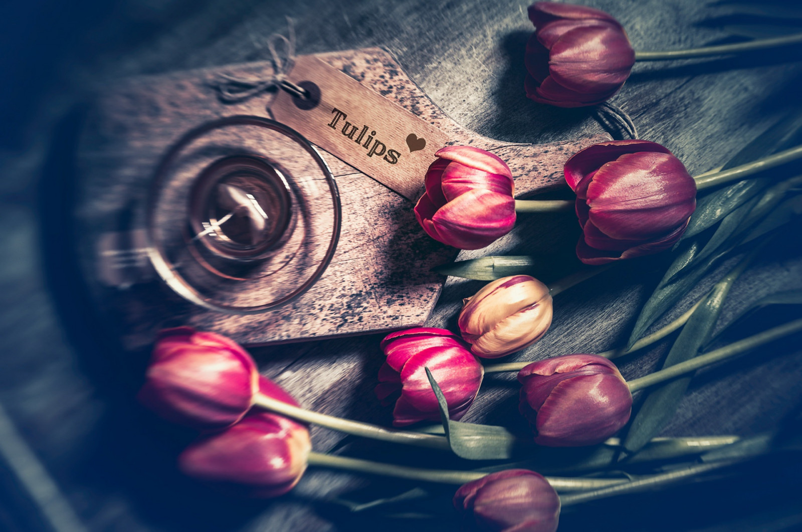 1920x1274 px, Flores, Plantas, Tulipas