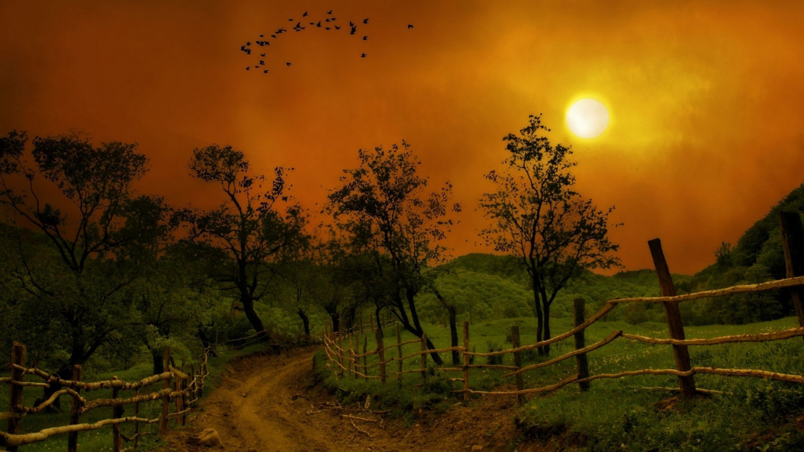 1920x1080 px, birds, fence, HDR, landscape, nature, Sun, trees