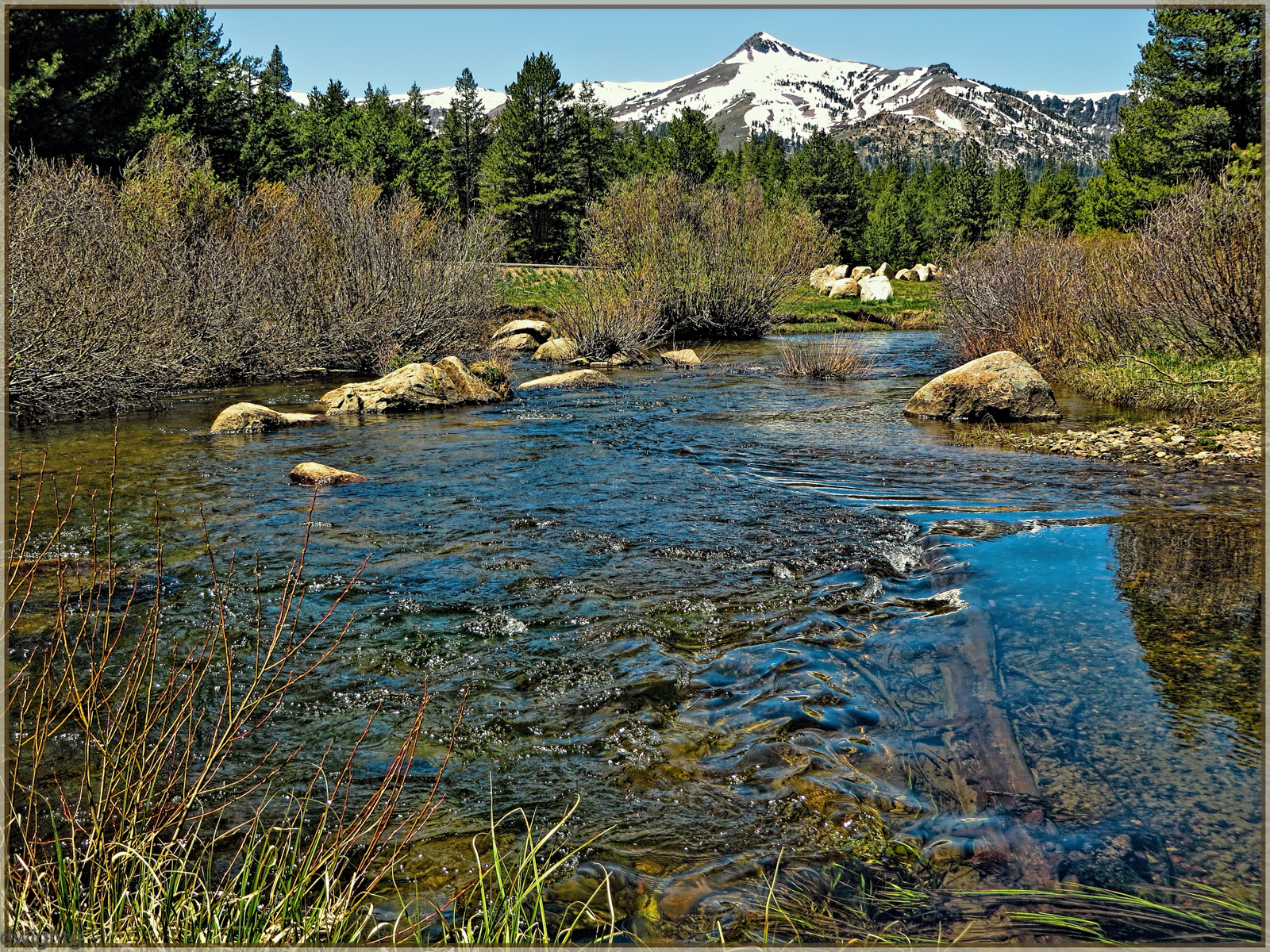 stromy, krajina, jezero, voda, Skála, Příroda, odraz, tráva, nebe, řeka, Kánon, naděje, národní park, údolí, divočina, proud, banka, přírodní rezervace, mokřadní, strom, hora, rostlina, vodní tok, vegetace, ca, Topas, zátoka, silná rána, nádrž, ps, Carson, jezero, 280, ekosystém, biome, tělo z vody, národní park, vstupní, lužní, koryto, arroyo, vodní zdroje, plant community, riparian zone, fluvial landforms of streams