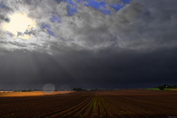 sunlight, landscape, nature, sky, field, rain