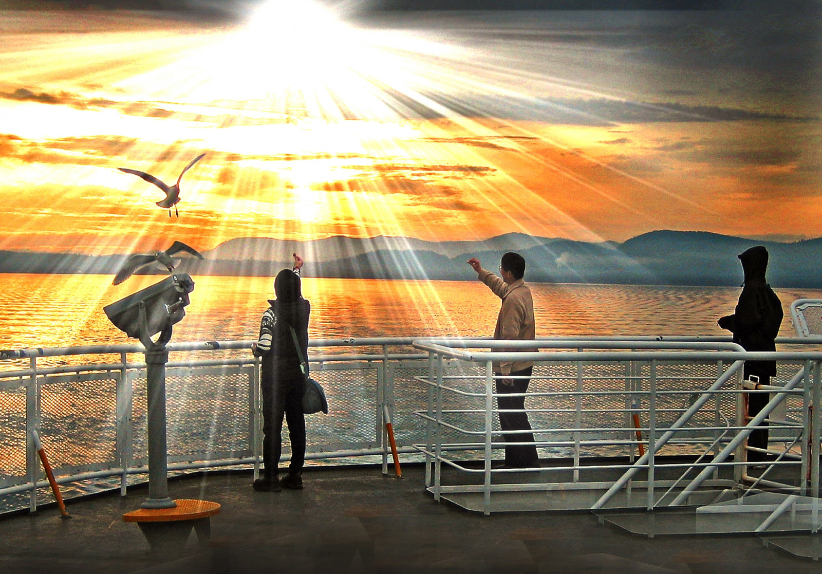 slunce, slunečnímu záření, trajekt, racek, profesionální, vancouverisland, Gulfislands, juandefuca, HDR, sunray, Bcferries, obraznost, zedzap, hqphotography