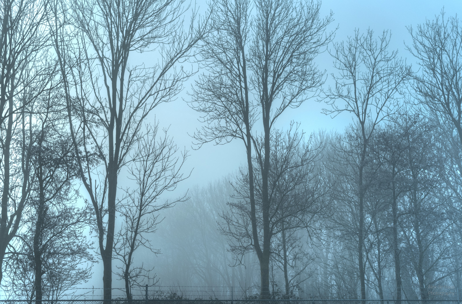 smorgens, 50mm, alexdehaas, d5, holandský, HDR, Holandsko, leden, nederland, Nederlands, Nizozemí, NIKKOR, nikkor50mm, Nikon, nikond5, noordholland, Nizozemí, westfriesland, mraky, Studený, daglicht, vlhký, denní světlo, farmfields, zemědělské půdy, mlha, mlhavý, mráz, kapesní, opar, mlhavý, highdynamicrange, jinovatka, led, ledový, januari, koud, laaghangendebewolking, krajina, landscapephotography, Landschap, landschapsfotografie, licht, světlo, spravovat, mlha, mistig, mlhavý, ráno, nevel, nevelig, ochtend, overdag, polder, Rijp, stáje, vodní pára, waterdamp, zima, mraky