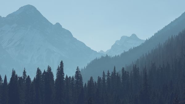 mountains,landscape,hazy