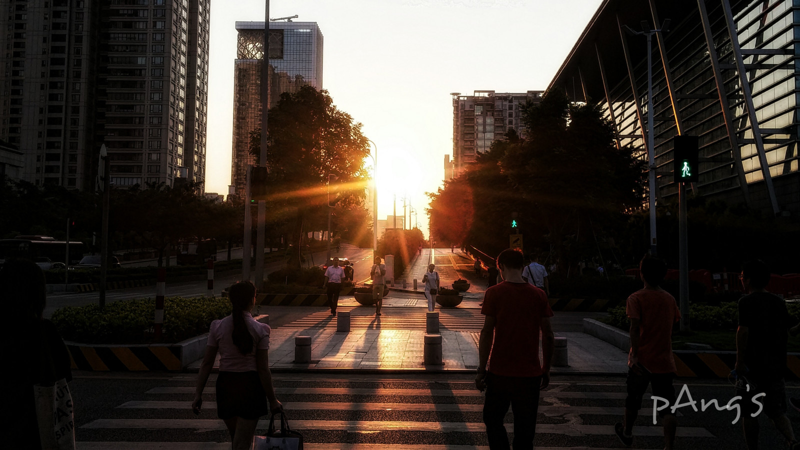 strada, tramonto, alberi