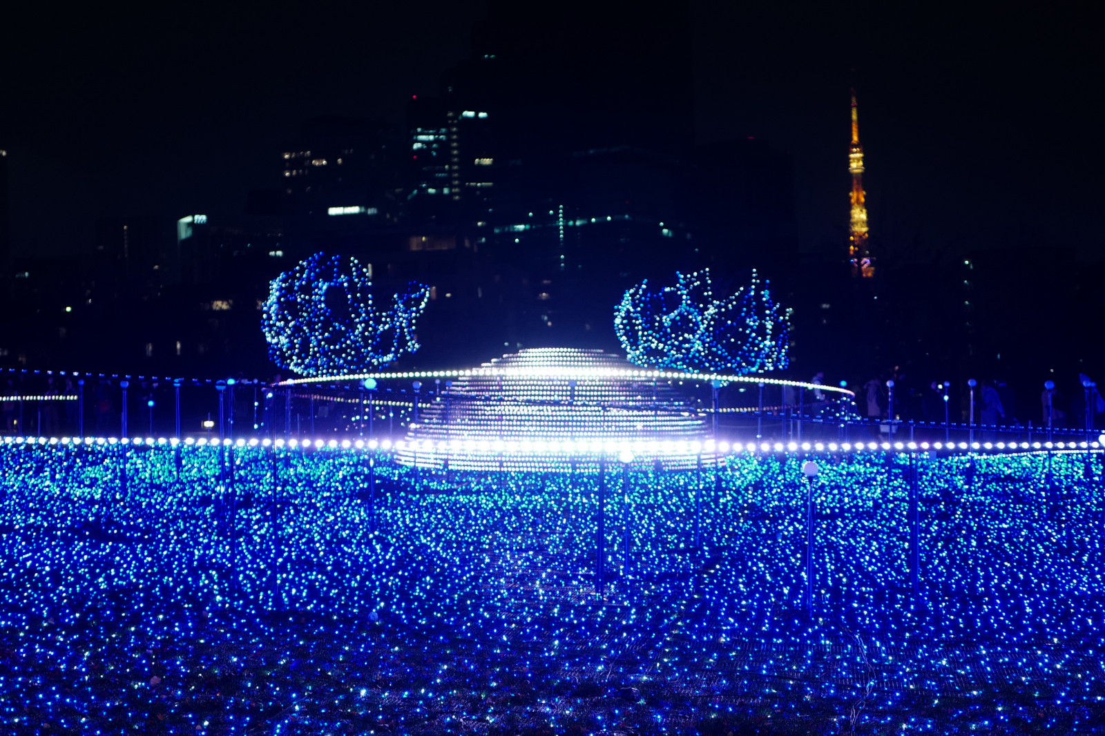 Japan, nat, julelys, Leica, Tokyo, Jp, lys, belysning, mørke, roppongi, tokyomidtown, summilux, leicaq, summilux1728, q, 1728, juledekoration