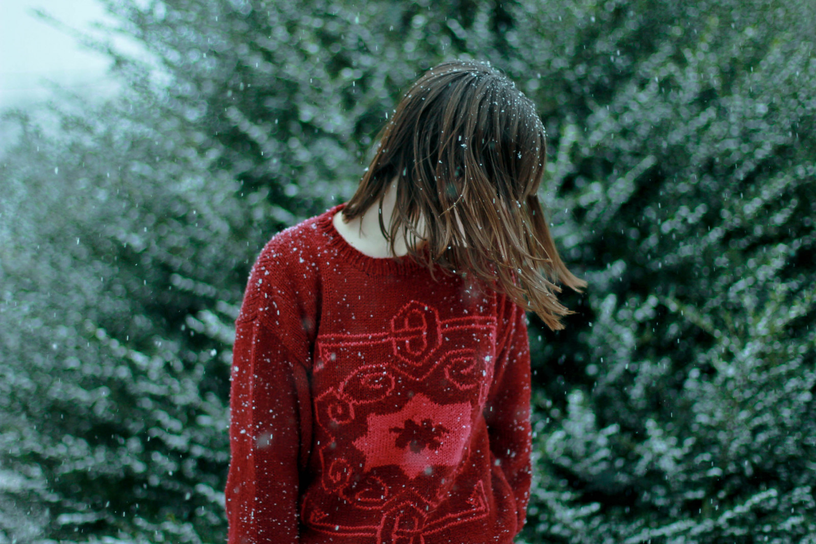 græs, sne, vinter, sweater, hår, stående, træ, plante, pige, smil, sjovt, flickr12days, overtøj