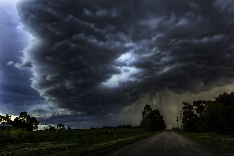 nebe,atmosféra,bouřka,hrom,mrak,strom