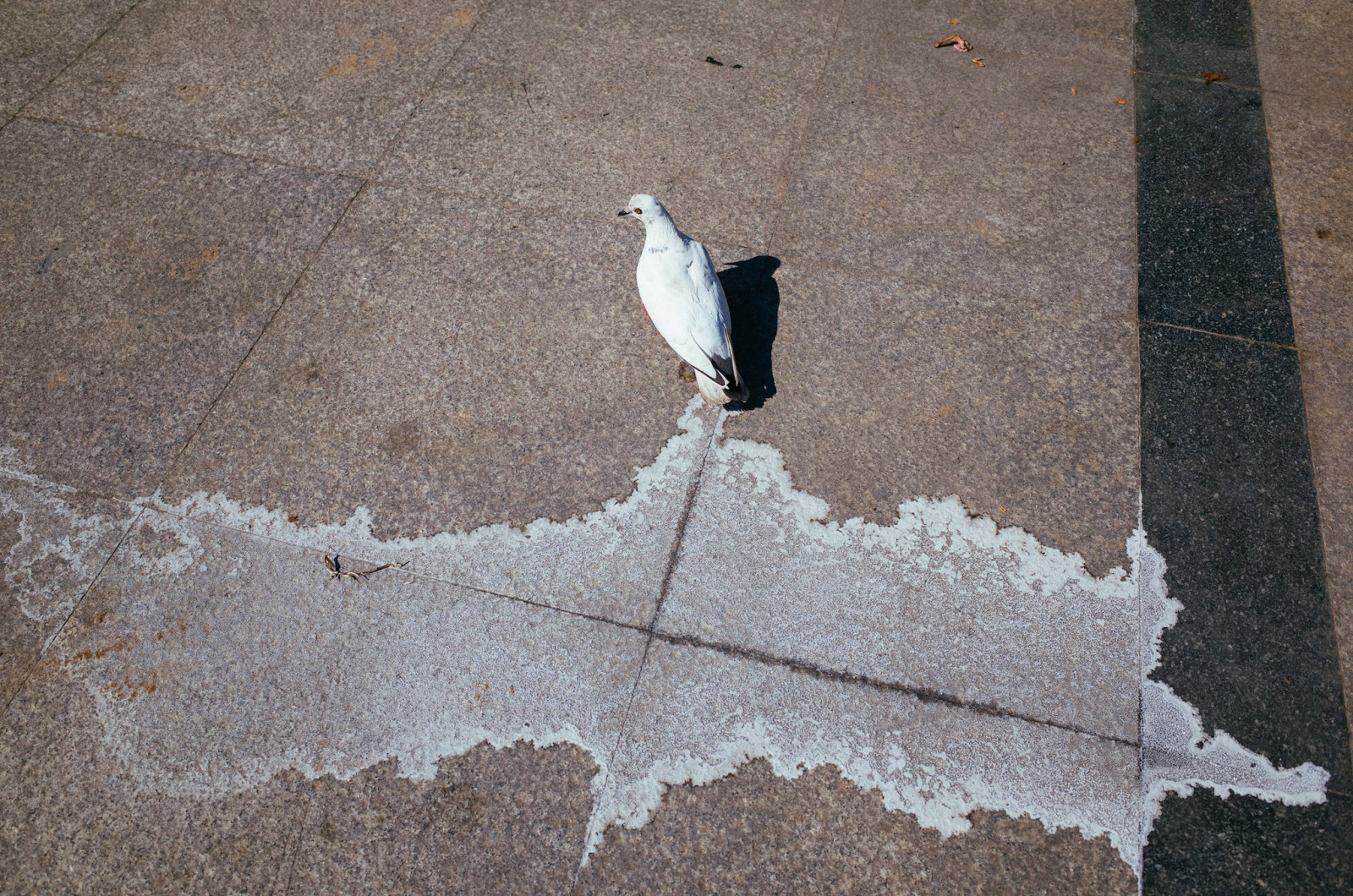Thajsko, streetphotography, chiangmai