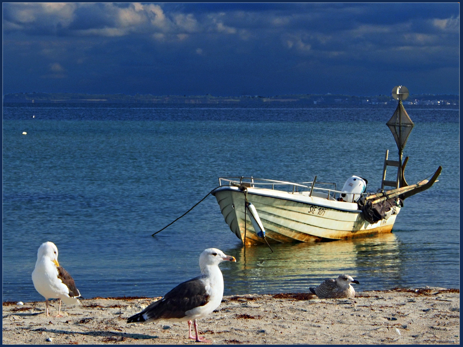 loď, ptactvo, moře, záliv, voda, pobřeží, vozidlo, pláž, Německo, pobřeží, Racků, 2013, oceán, pramen, deutschland, mořský pták, Ostsee, Herbst, wasser, vogel, baltský, ostseeleuchte, norddeutschland, plavidla veslování, m wen, fischerboot, saisonende, Haffkrug, endofthebathingseason
