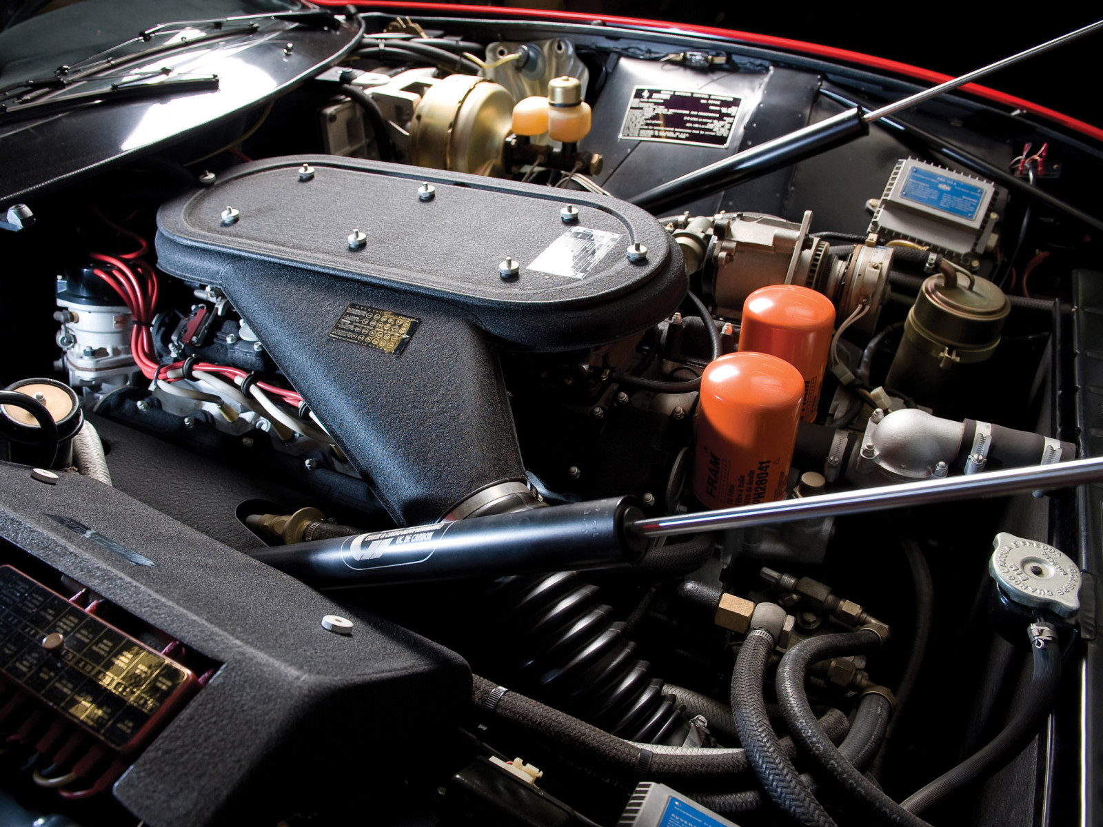 auto, vozidlo, sportovní auto, Ferrari, výkon auta, motor, volant, netcarshow, netcar, obrázky vozidel, photo auto, 2009, 365 GTB 4 pavouk, superauto, pozemní vozidla, závodní auto, automobil make, luxusní vůz, auto show