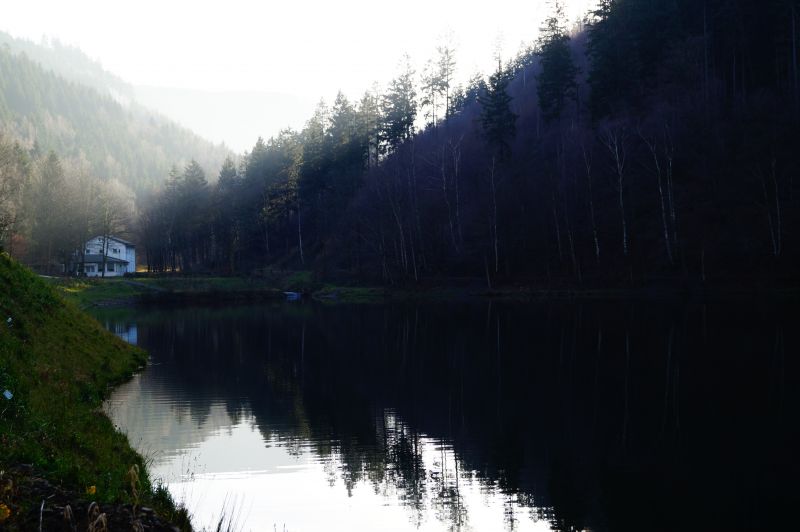 krajina, les, jezero, voda, odraz, ráno krajina, les, jezero, voda, odraz, ráno