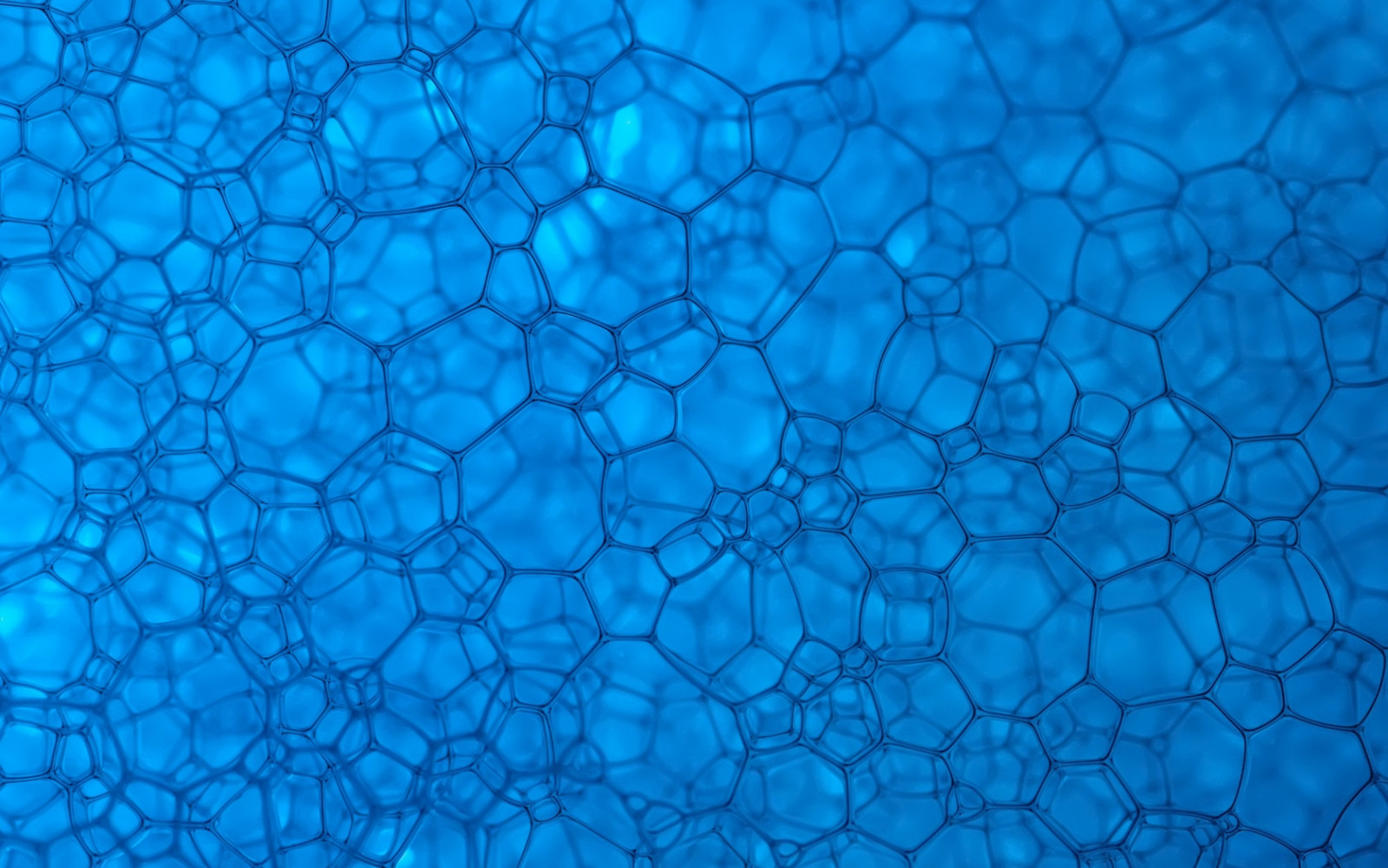 Shape Texture Hd Wallpaper : background, pattern, line, shape, texture 1680x1050 ...