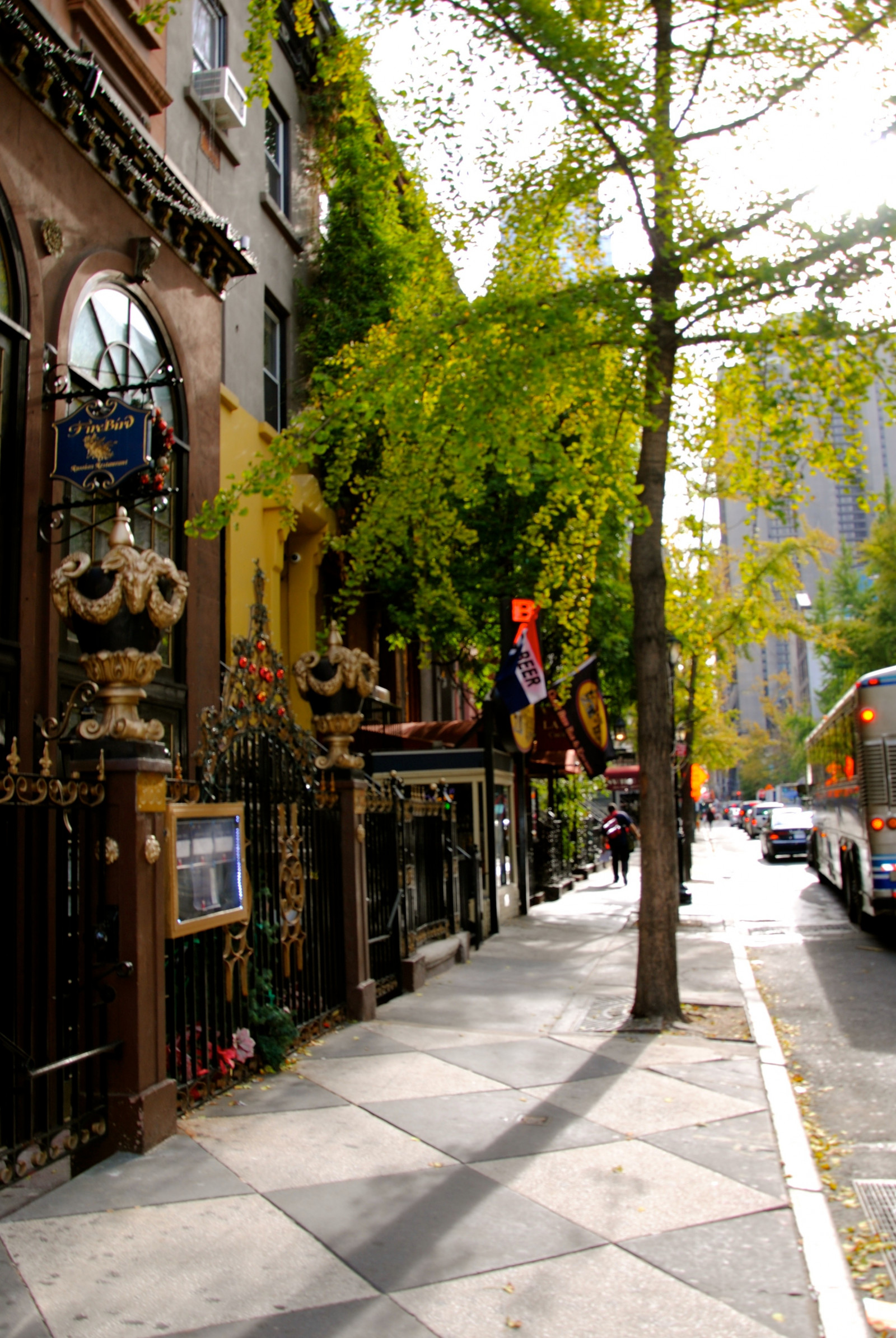 město, ulice, silnice, Cestovní ruch, město, náměstí, Manhattan, infrastruktura, pěší, strom, centrum, podzim, cestovat, sezóna, alej, newyork, gree, náměstí, pruh, urban area, lidské osídlení, sousedství