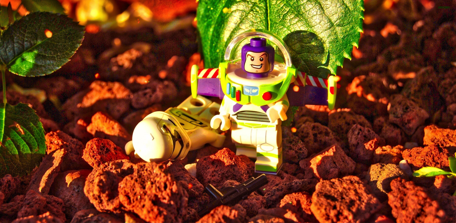 beletrie, rostliny, rostlina, Skála, bzučet, Hračka, hračky, fotografování, hvězda, hvězdné války, boj, skály, objednat, platnost, LEGO, příběh hraček, buzzlightyear, venkovní, stormtroopers, První, bitva, Věda, Disney, příběh, scifi, světelný rok, stormtrooper, série, science fiction, války, legostarwars, crossover, minifigure, , probouzí, první objednávka, minifigures, toyphotography, legophotography, Kuchyňské nádobí, theforceawakens, forceawakens