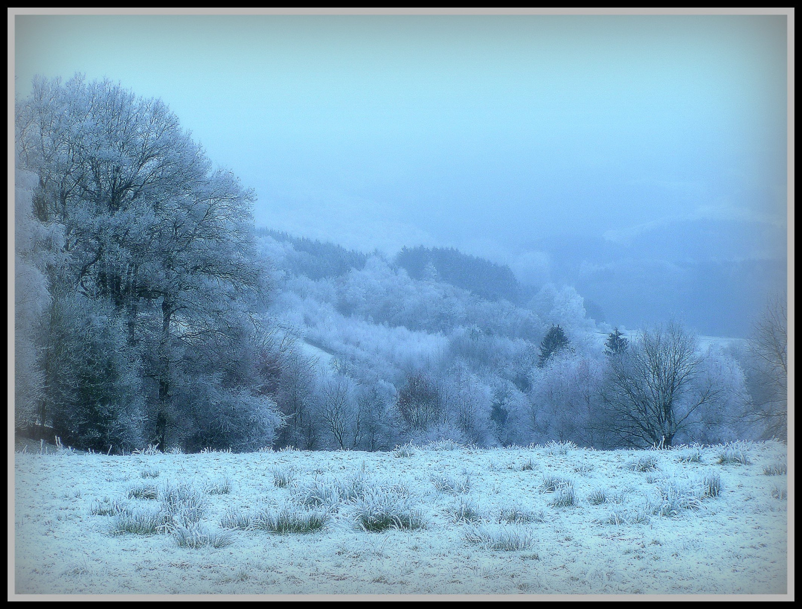 slunečnímu záření, krajina, les, bílý, Příroda, nebe, sníh, zima, větev, led, ráno, Německo, mlha, mráz, Šedá, atmosféra, televize, zmrazení, UMĚNÍ, mrak, strom, mlha, počasí, zasněžený, vánice, tvořivý, anawesomeshot, platinumphoto, blueribbonwinner, megashot, Oberberg, themoulinrouge, naturewatcher, thedavincitouch, dřevina, raureif, jev, WDR, onlyyourbestshots