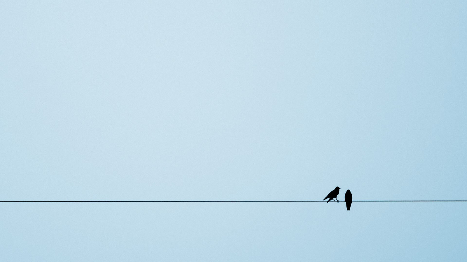 ptactvo, zvěř, jednoduché pozadí, nebe, silueta, Lana, vrána, Evropská straka, Let, pták, tvar, čára, křídlo, Atmosféra Země, prohlížení pták