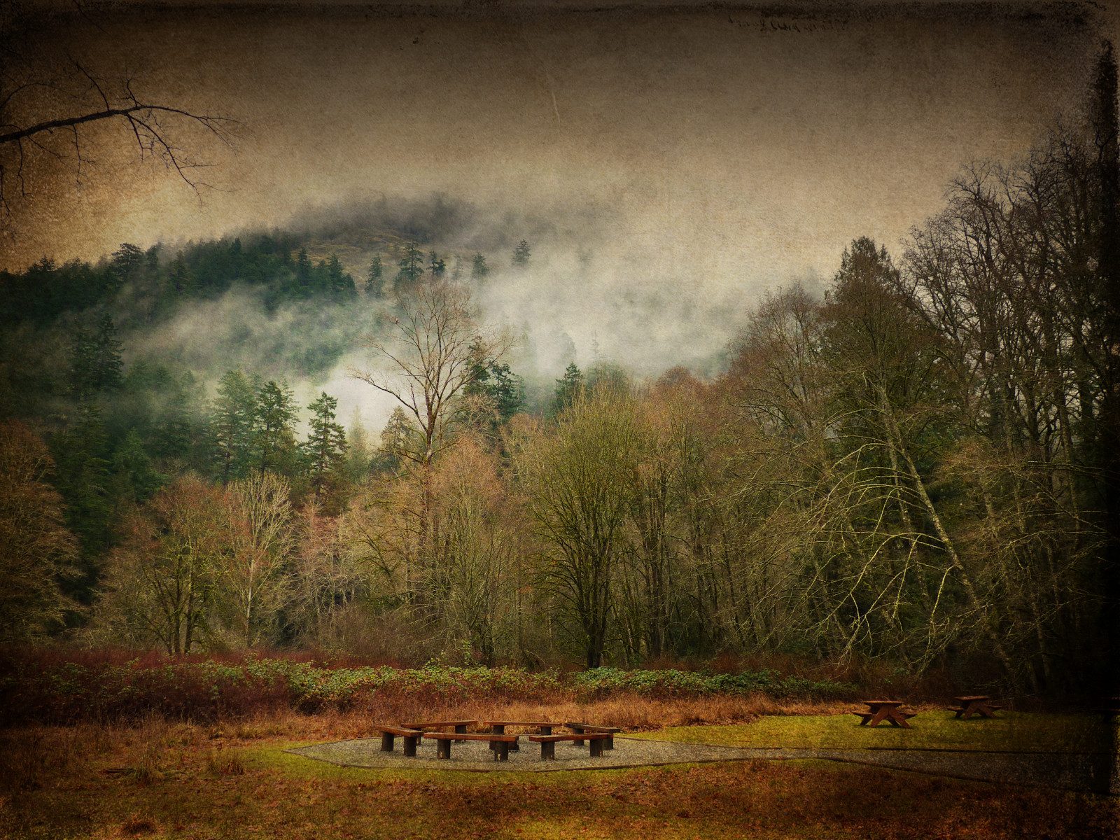 krajina, les, Příroda, večer, ráno, mlha, strom, podzim, list, sezóna, les, louka, zálesí, tatot, zedzap, venkov, místo výskytu, přírodní prostředí, atmosférický jev, savana, goldstream