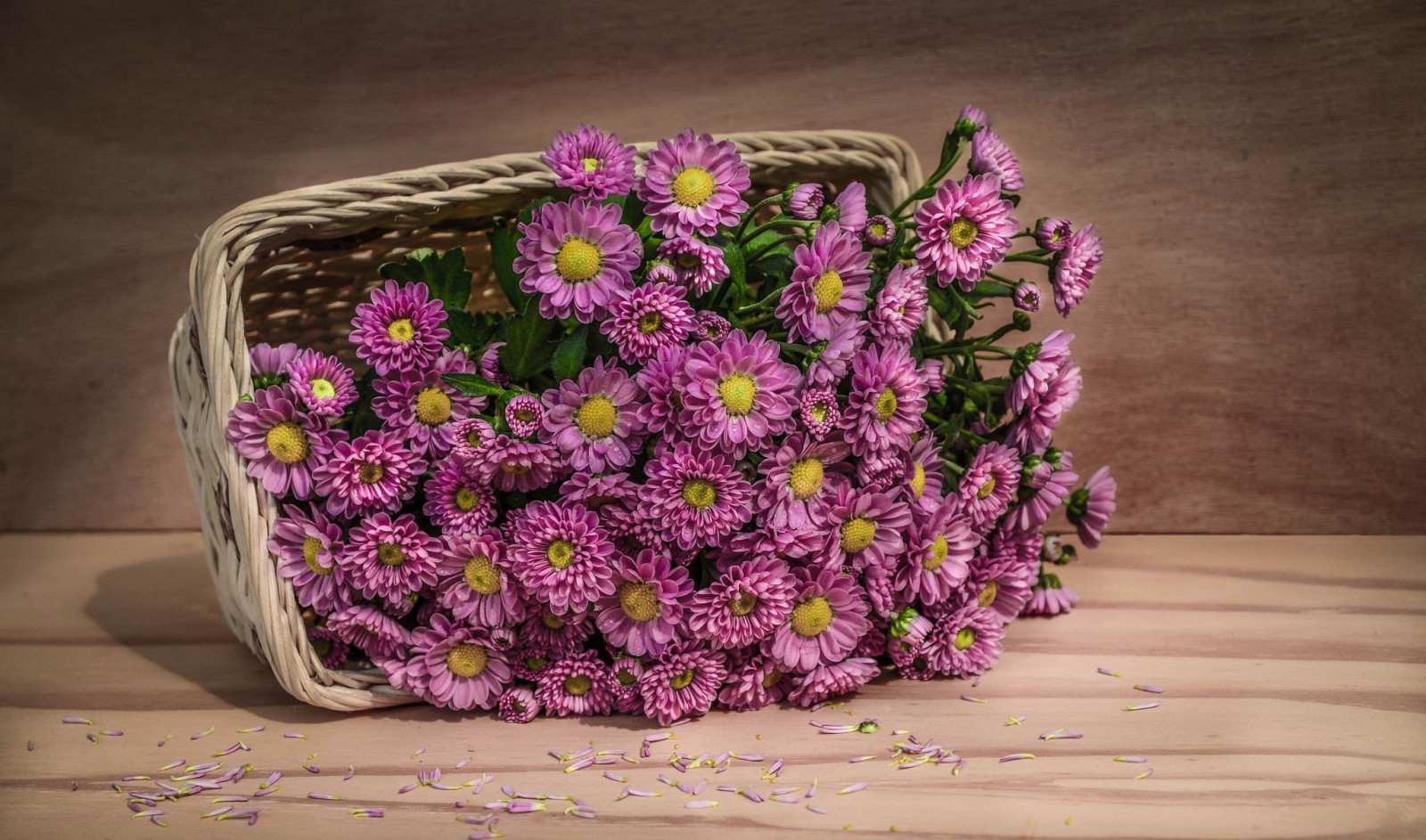 Wallpaper flowers, basket, petals 2048x1208 goodfon 1008583 HD