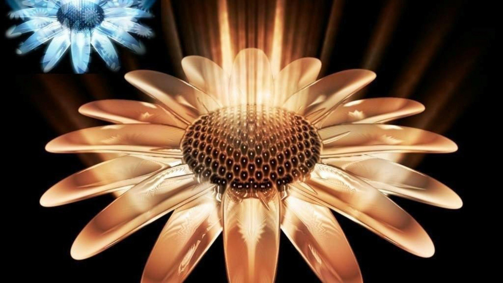 Wallpaper : 1011883, 1920x1080 px 1920x1080 - wallhaven - 1588461 - HD