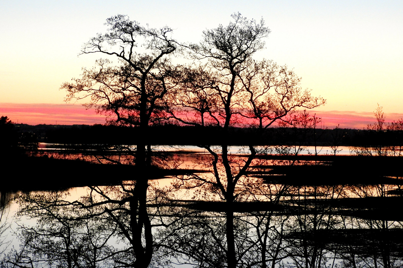 ต้นไม้, พระอาทิตย์ตก, ท้องฟ้า, ภาพเงา, ฟินแลนด์, ตอนเย็น, เฮลซิงกิ, พลบค่ำ, ลายเส้น, เงียบสงบ, สงบ, herttoniemi