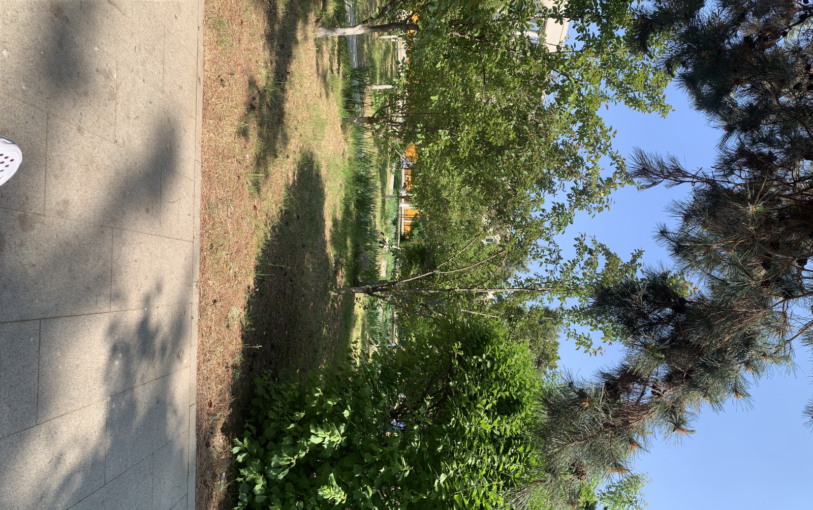 mountain huang, Natur